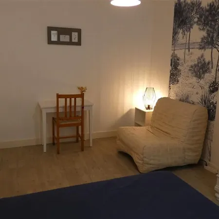 Appartement 2 Chambres Pres De La Plage - Animaux Admis - Fr-1-323-314 Apartment