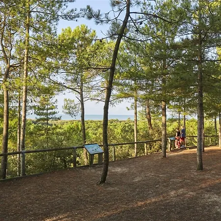 Appartement 2 Chambres Pres De La Plage - Animaux Admis - Fr-1-323-314