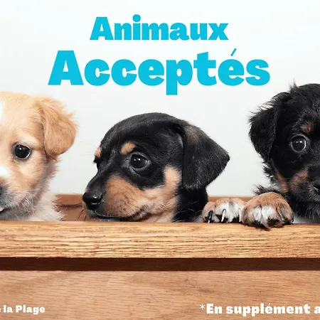 Appartement 2 Chambres Pres De La Plage - Animaux Admis - Fr-1-323-314 Apartment