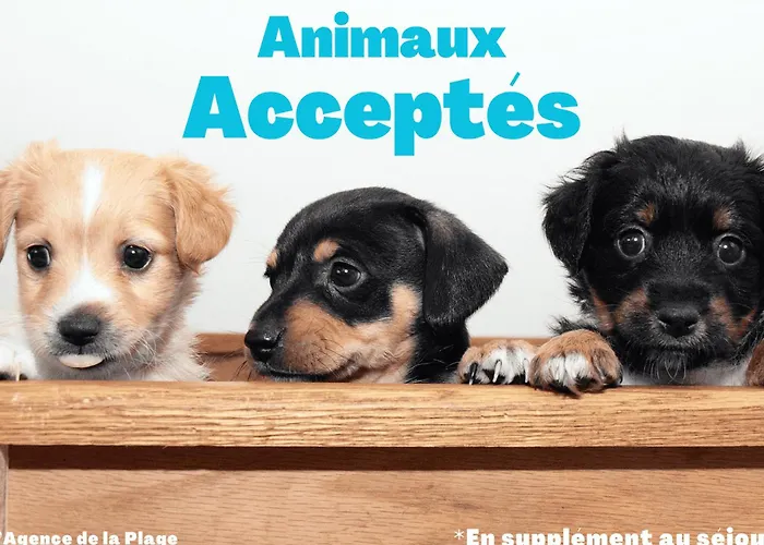 2 Pres De La - Animaux Admis - Fr-1-323-314 아파트